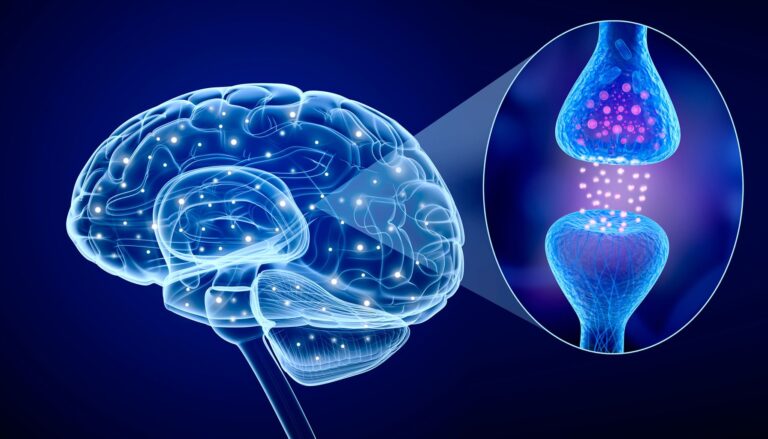 Как мозг влияет на тело